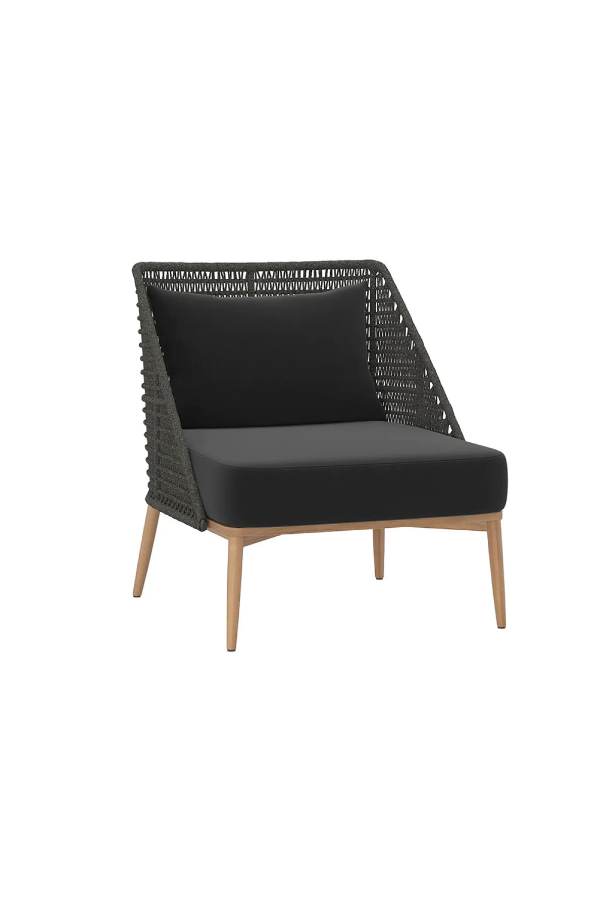 Andria Lounge Chair - Arashi Black - Image 2