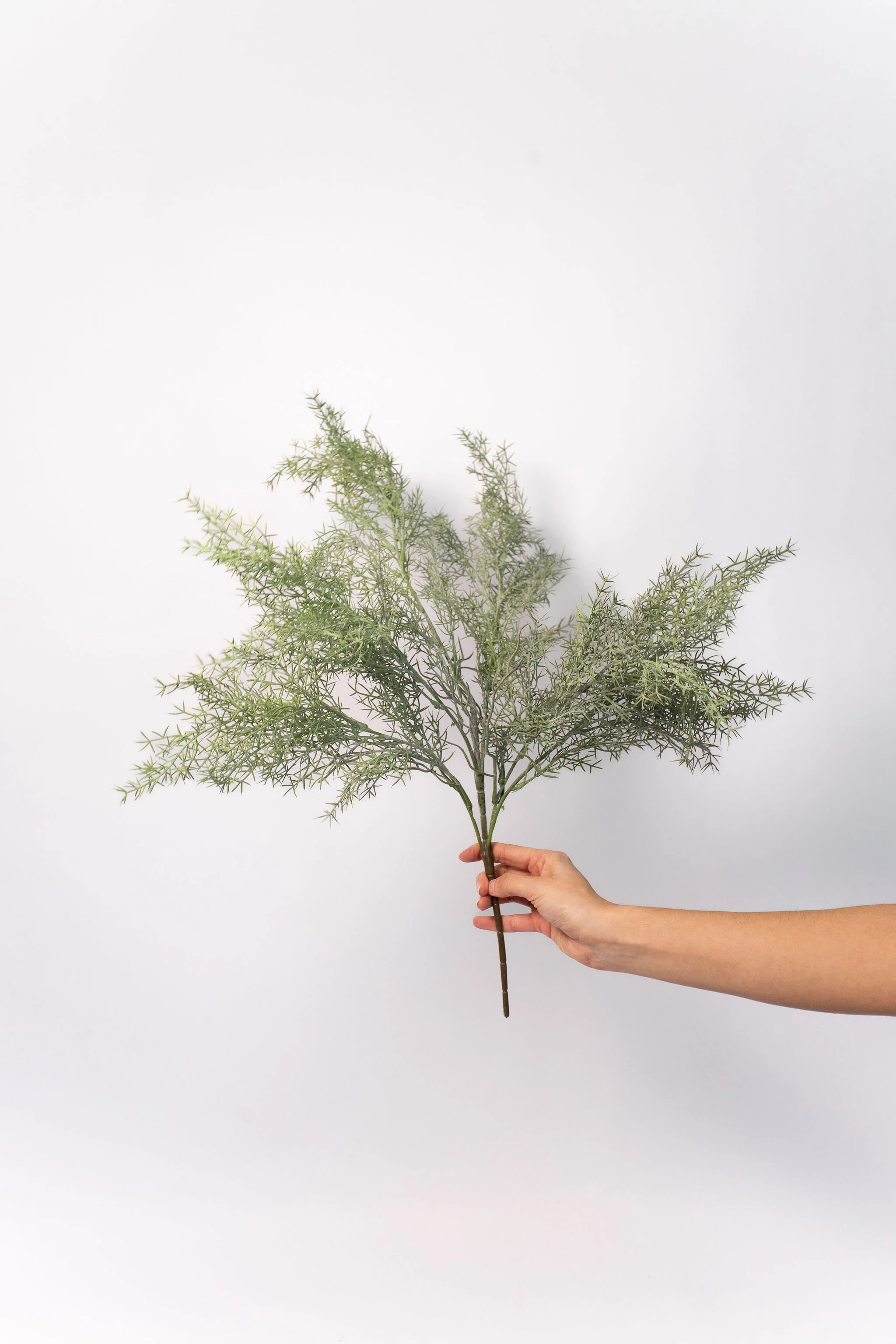 Asparagus Fern Spray - 23.5" - Image 2