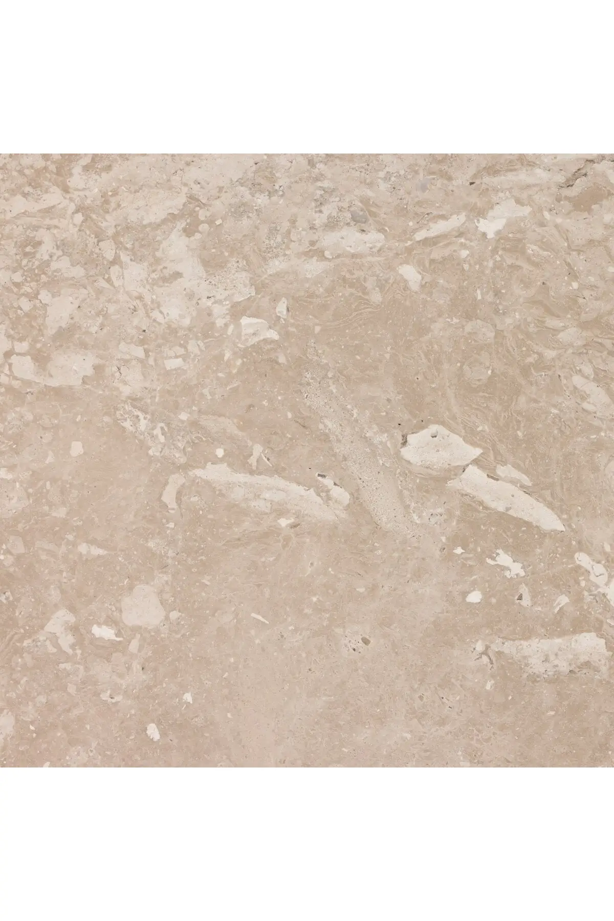 Babylon Coffee Table - Image 6