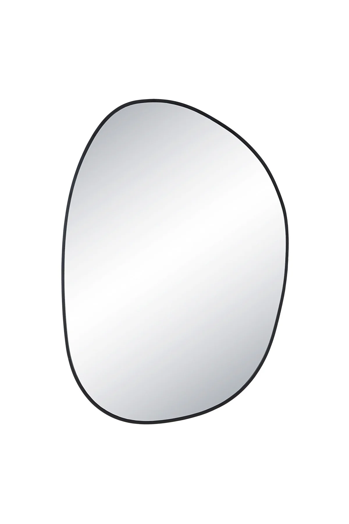 Bozeman Mirror