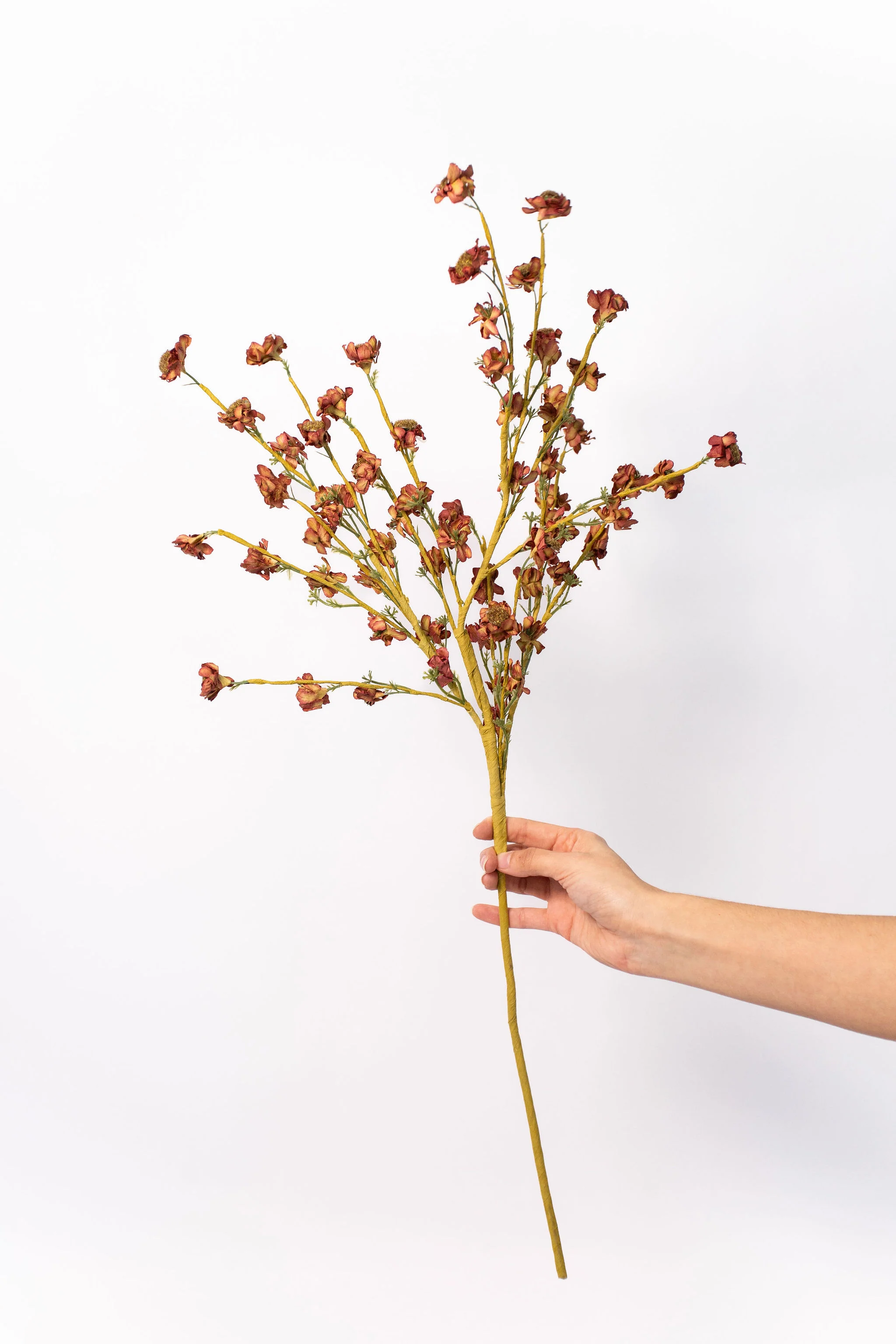 Daisy Spray - 30"
