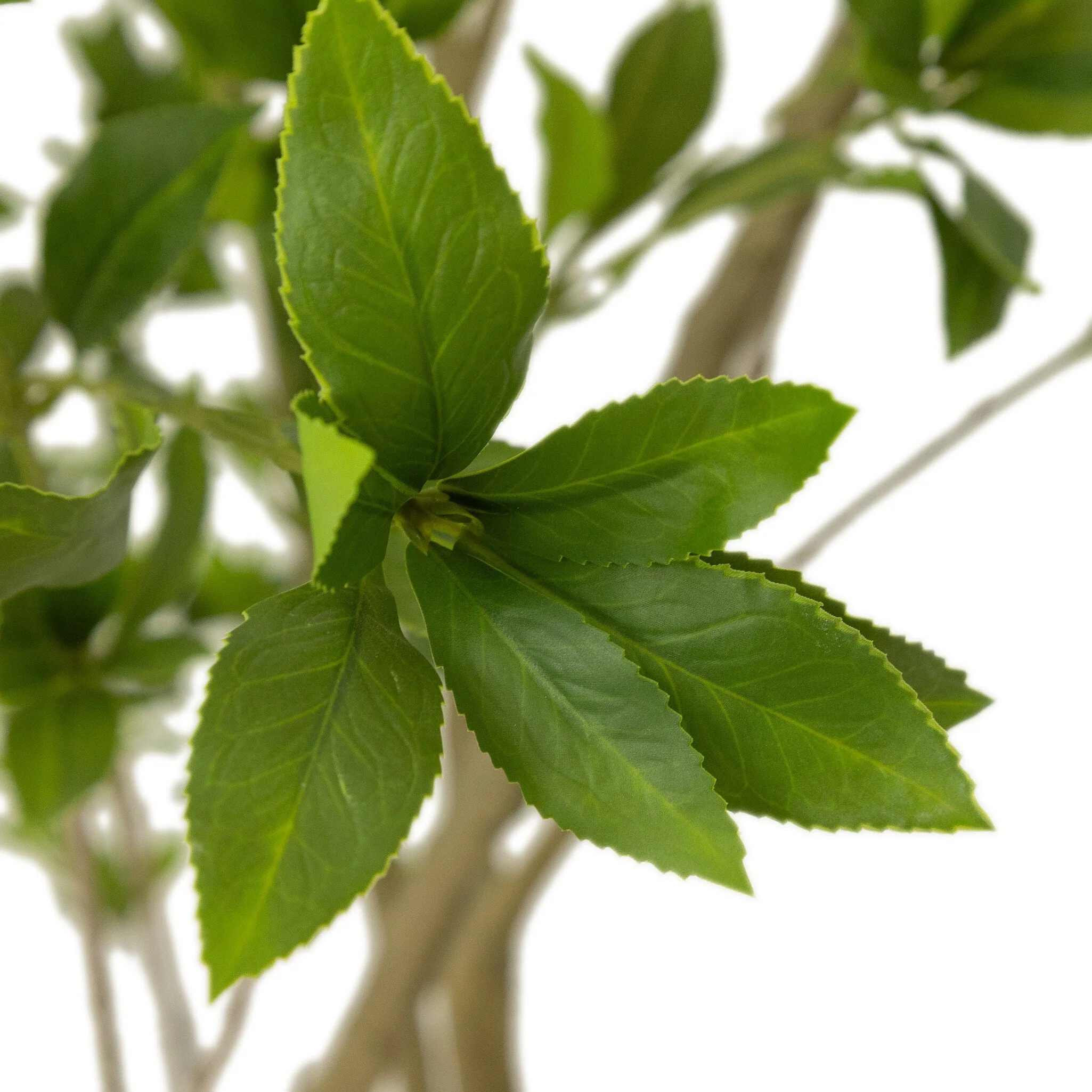 Designer Approved - Faux Pieris Tree - 2 Sizes - Image 8