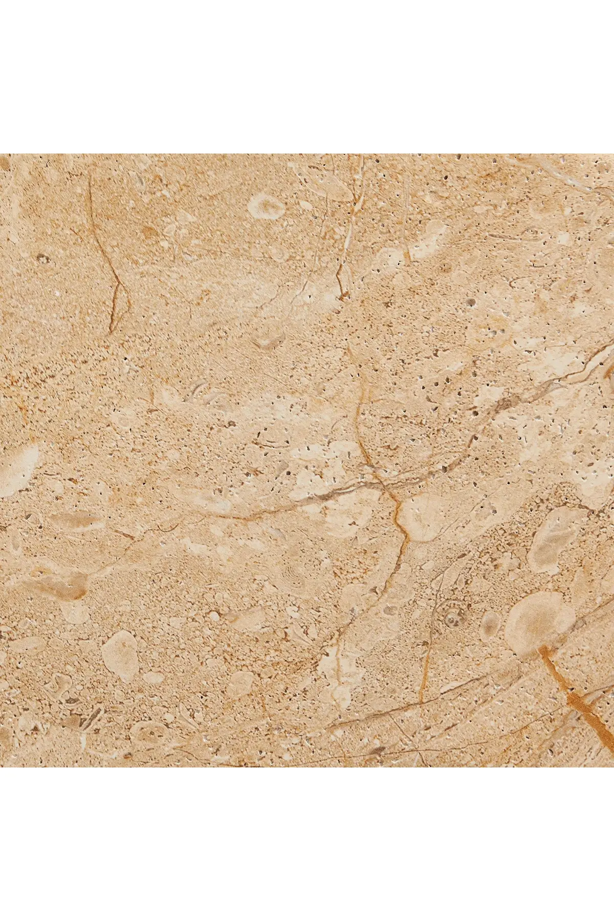 Elowen Side Table - Travertine - Image 7