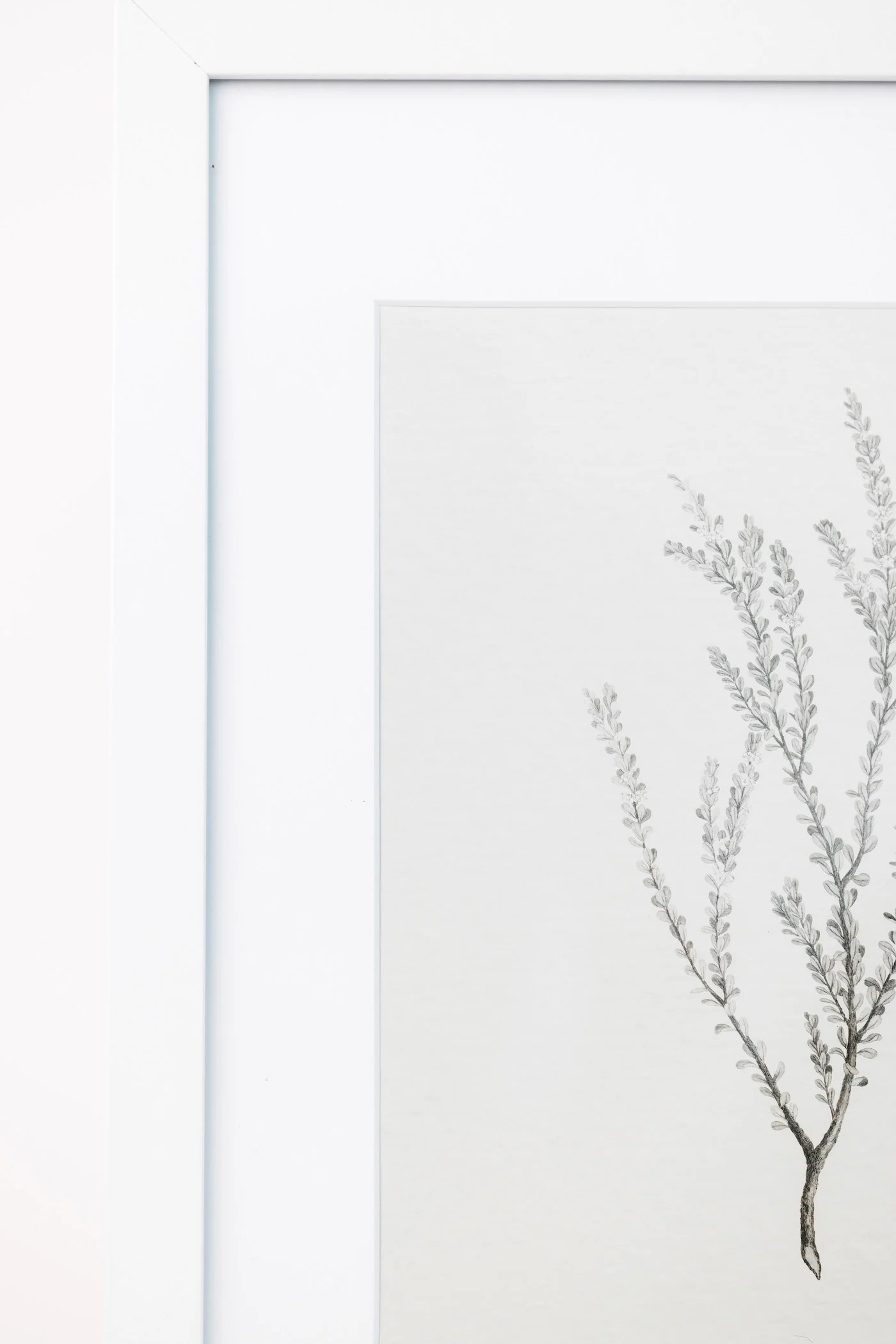 Enid Wall Art - Image 3