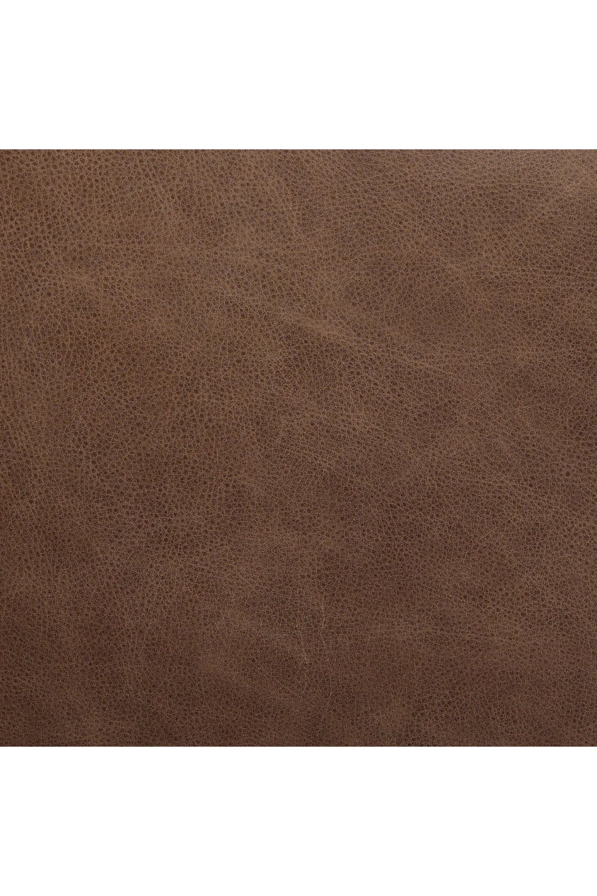 Ferris Dining Armchair - Cigar - Image 11