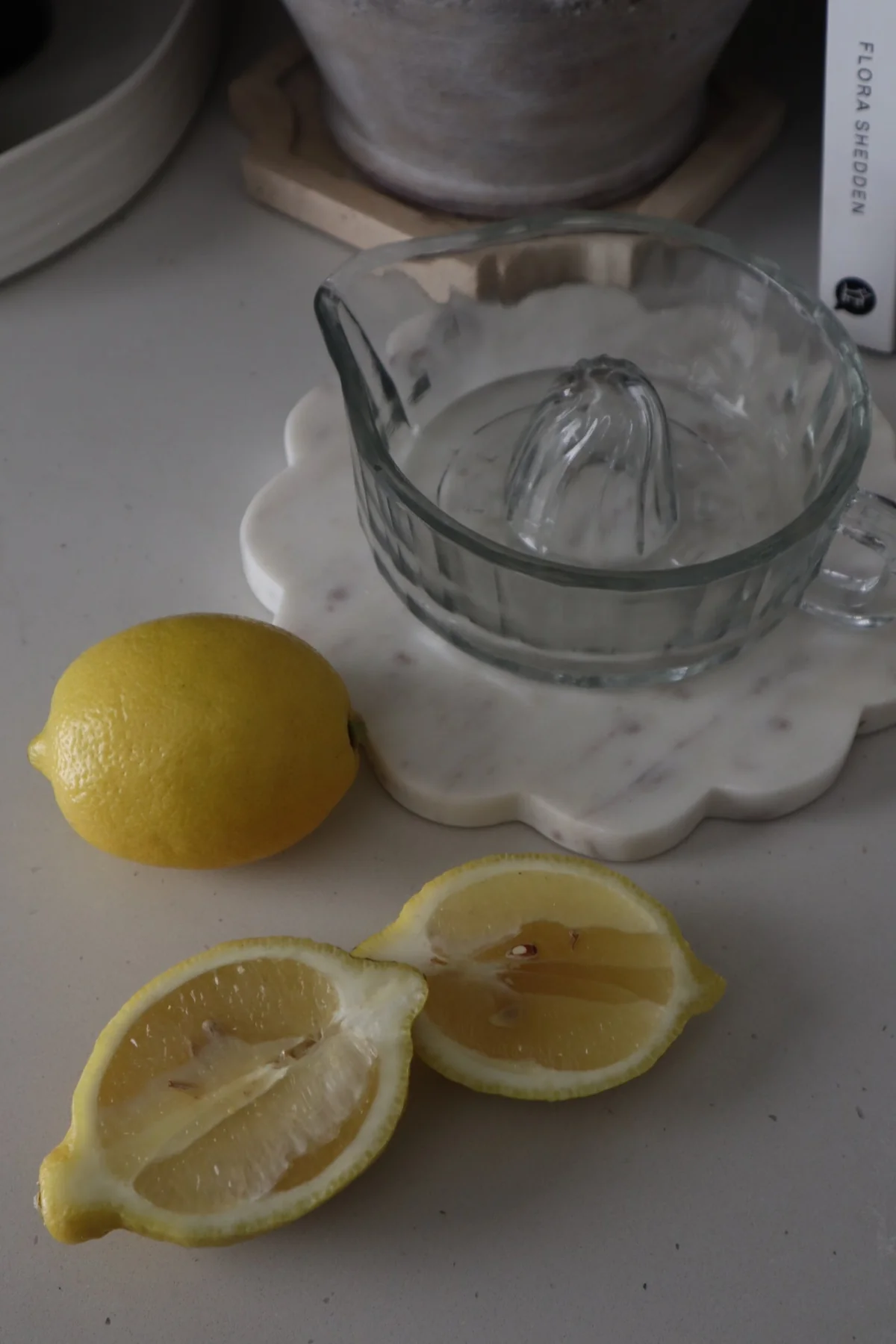 Glass Citrus Juicer