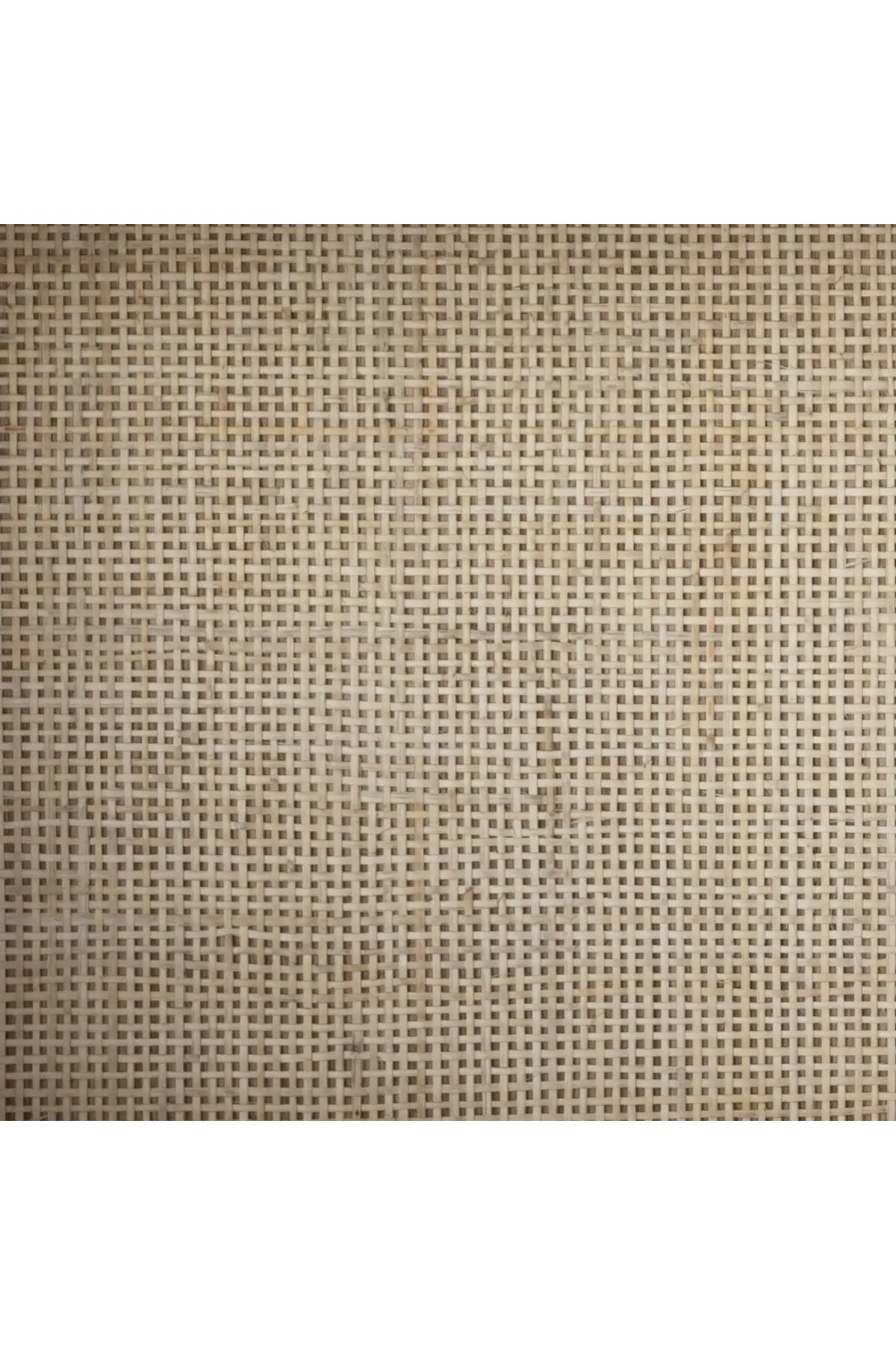 Higgs Bookcase - Image 9