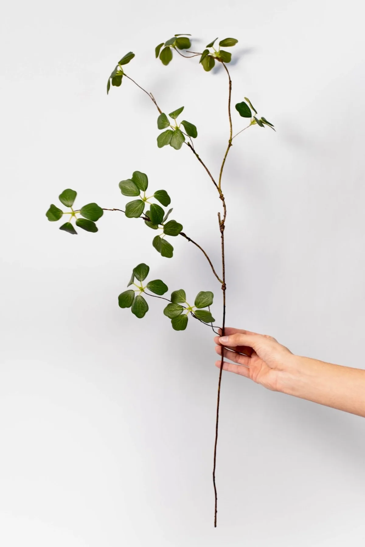 Leaf Spray - 32"