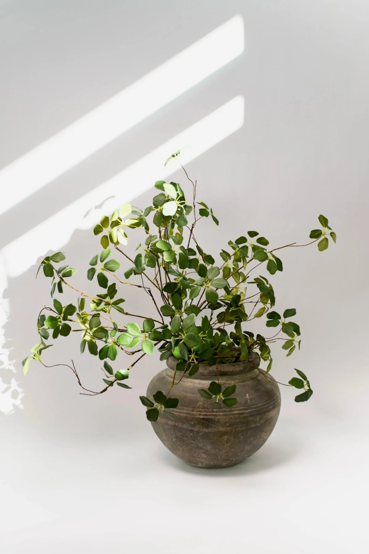 Leaf Spray - 32" - Image 3