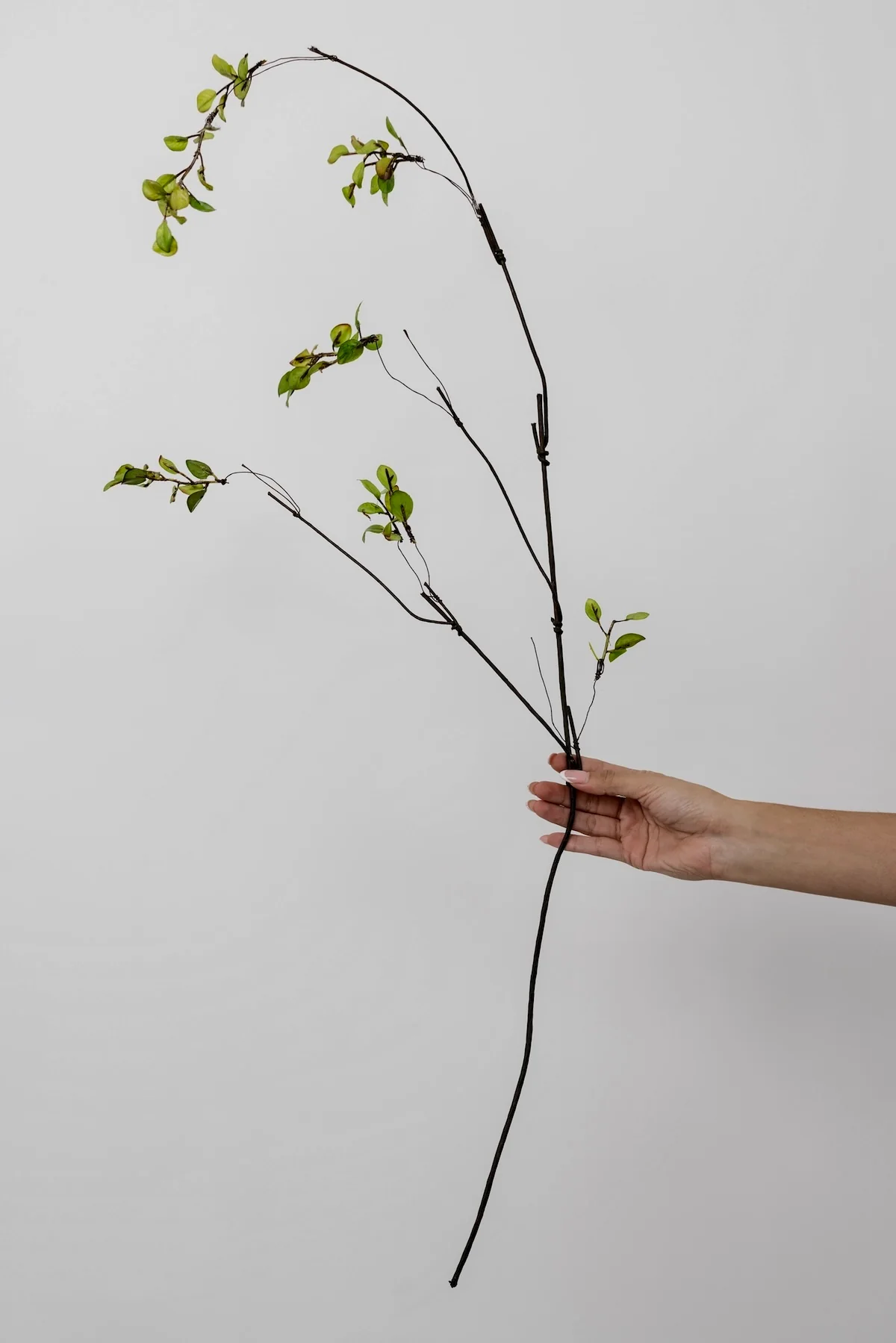 Leafy Stem - 39"
