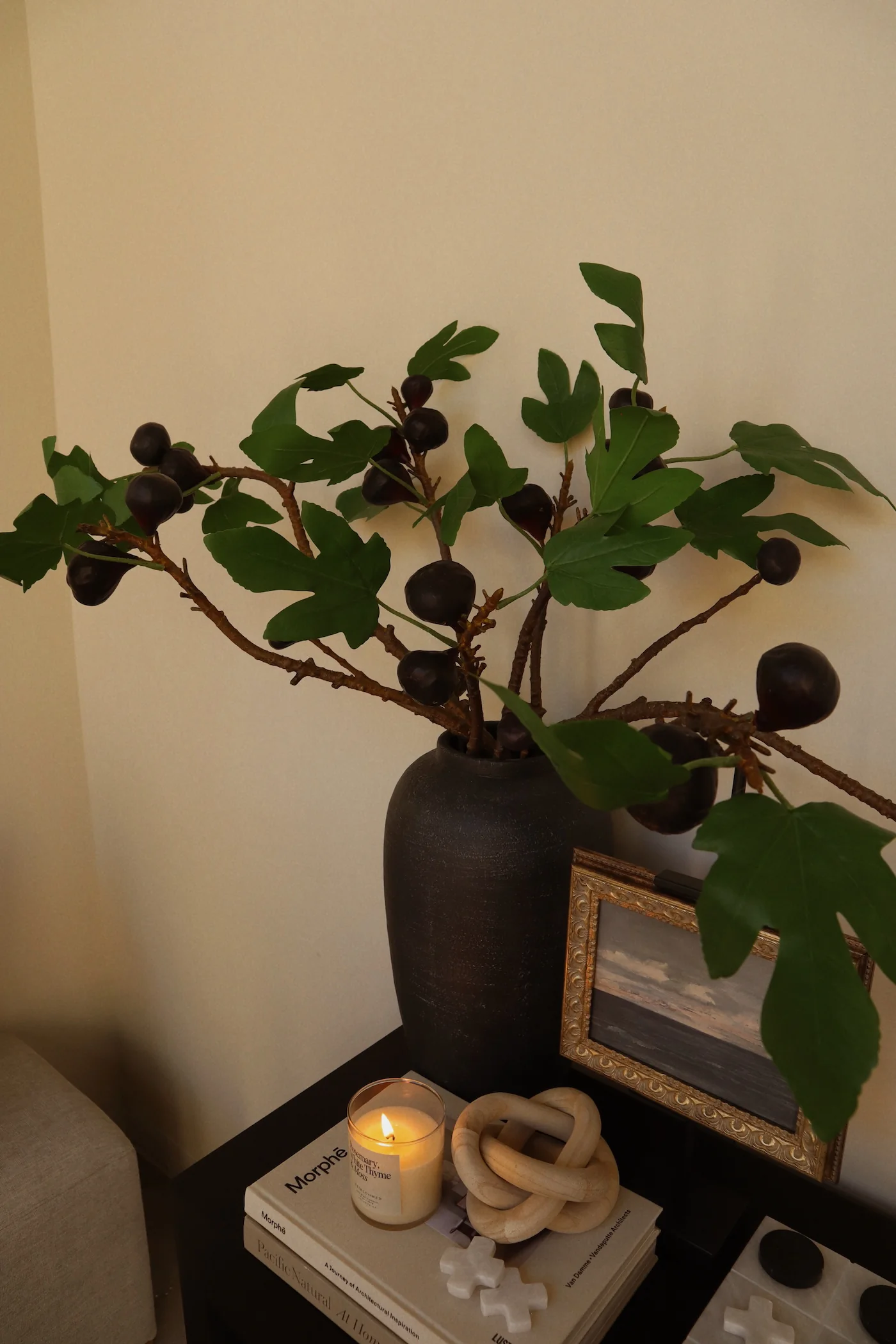 Marella Mission Fig Branch - 27"