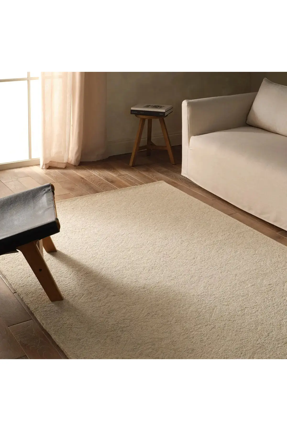 Province Rug - Tapioca - Image 6