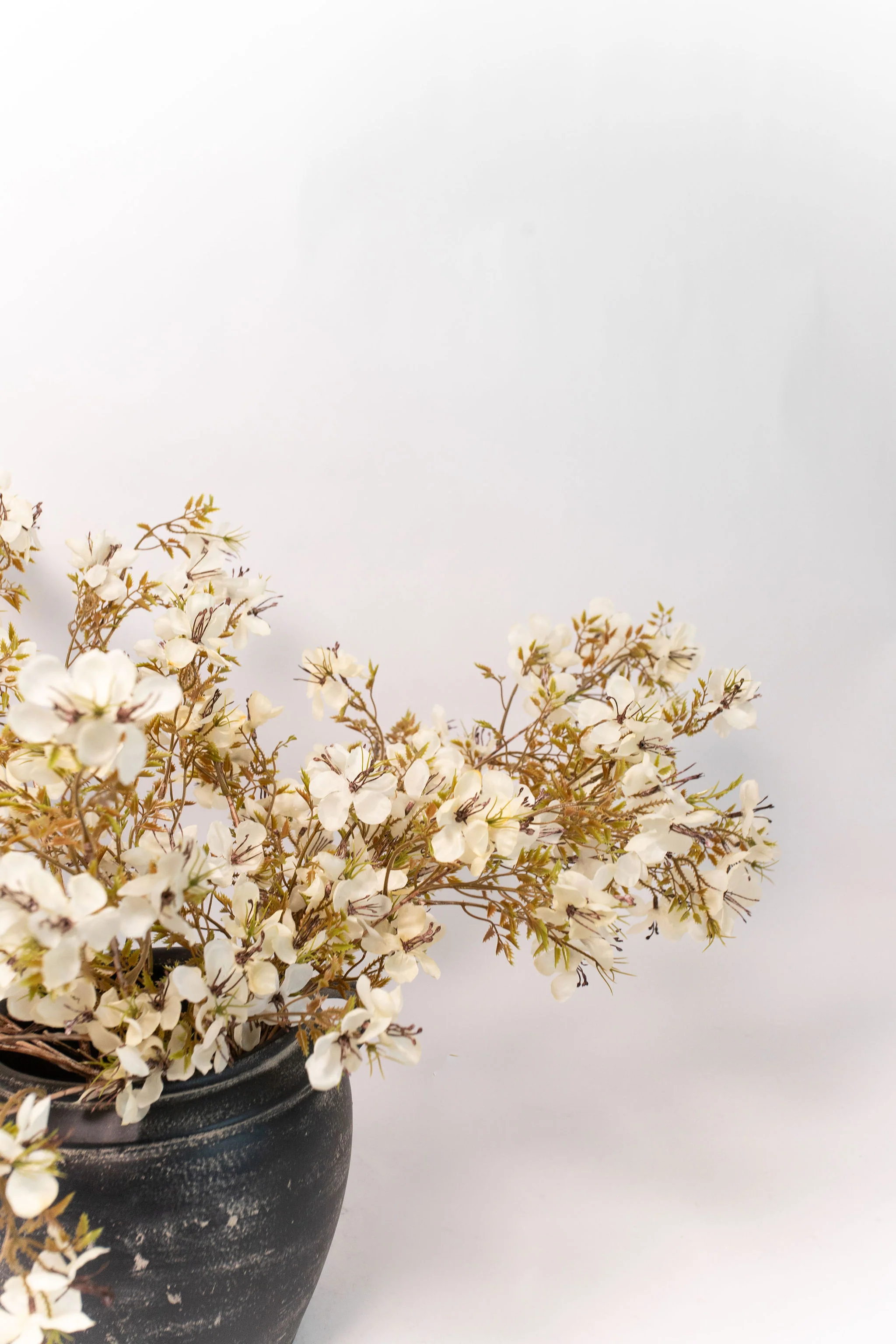 Prunus Blossom Stem - 41" - Image 5