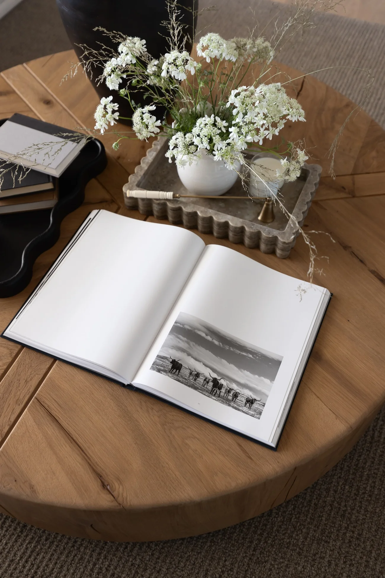 Renan Coffee Table - Image 11