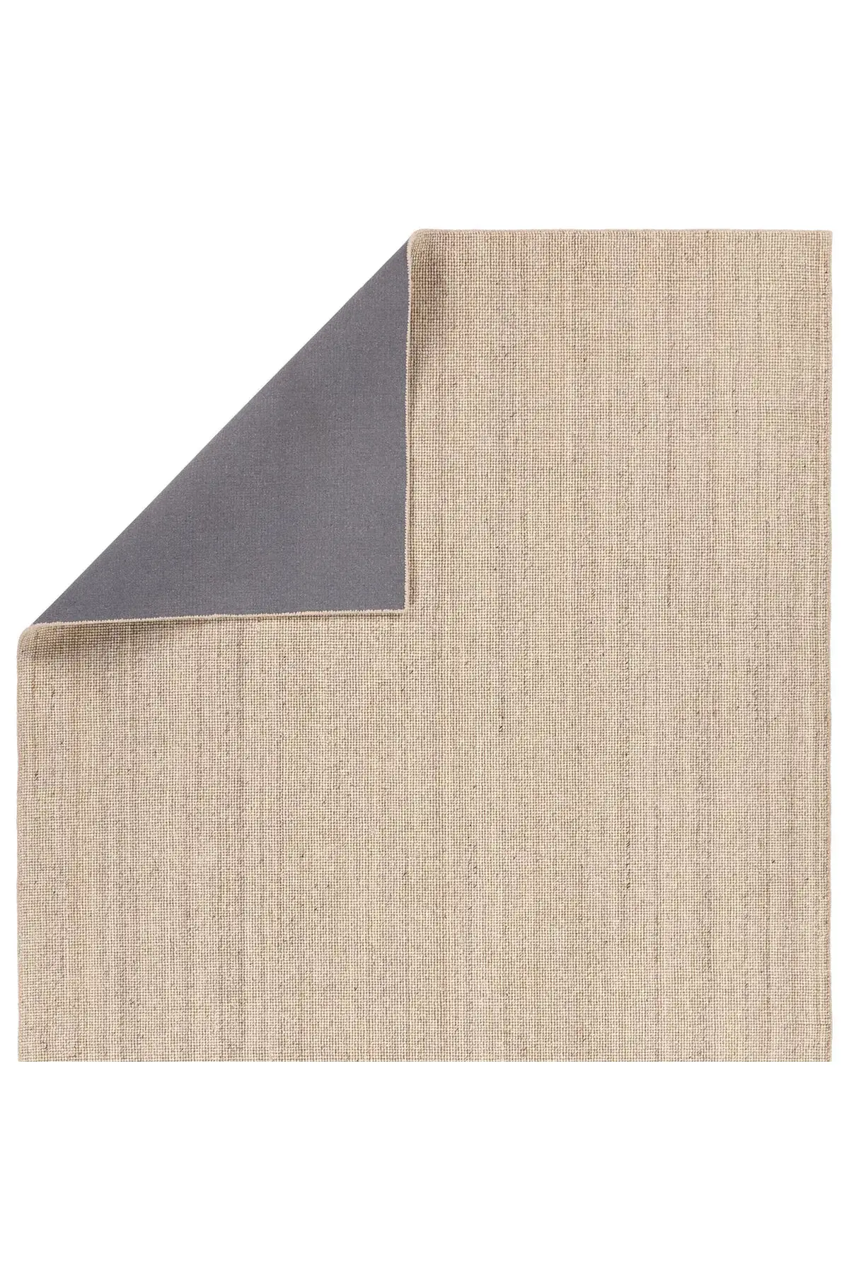 Rene Rug - Sandshell - Image 4