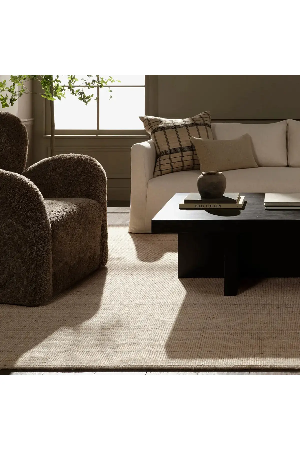 Rene Rug - Sandshell - Image 6