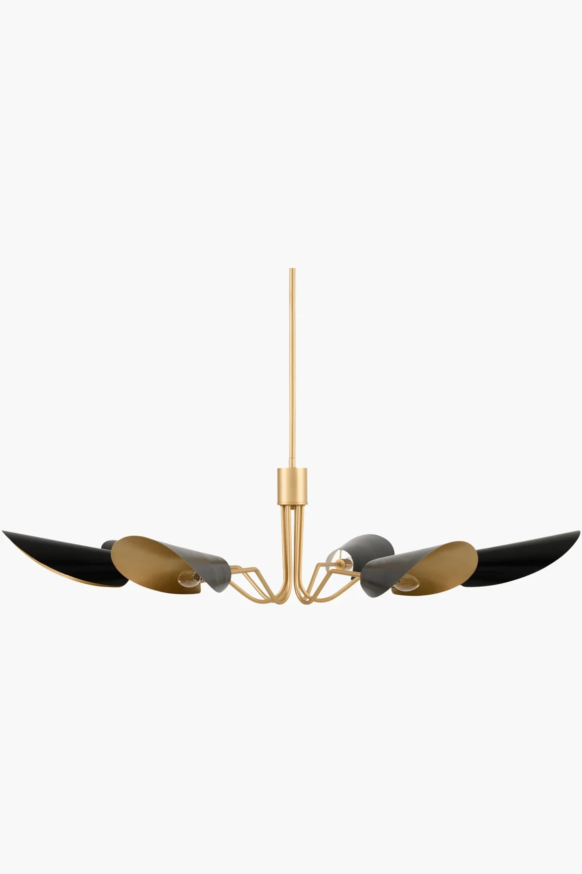 Rivage Chandelier