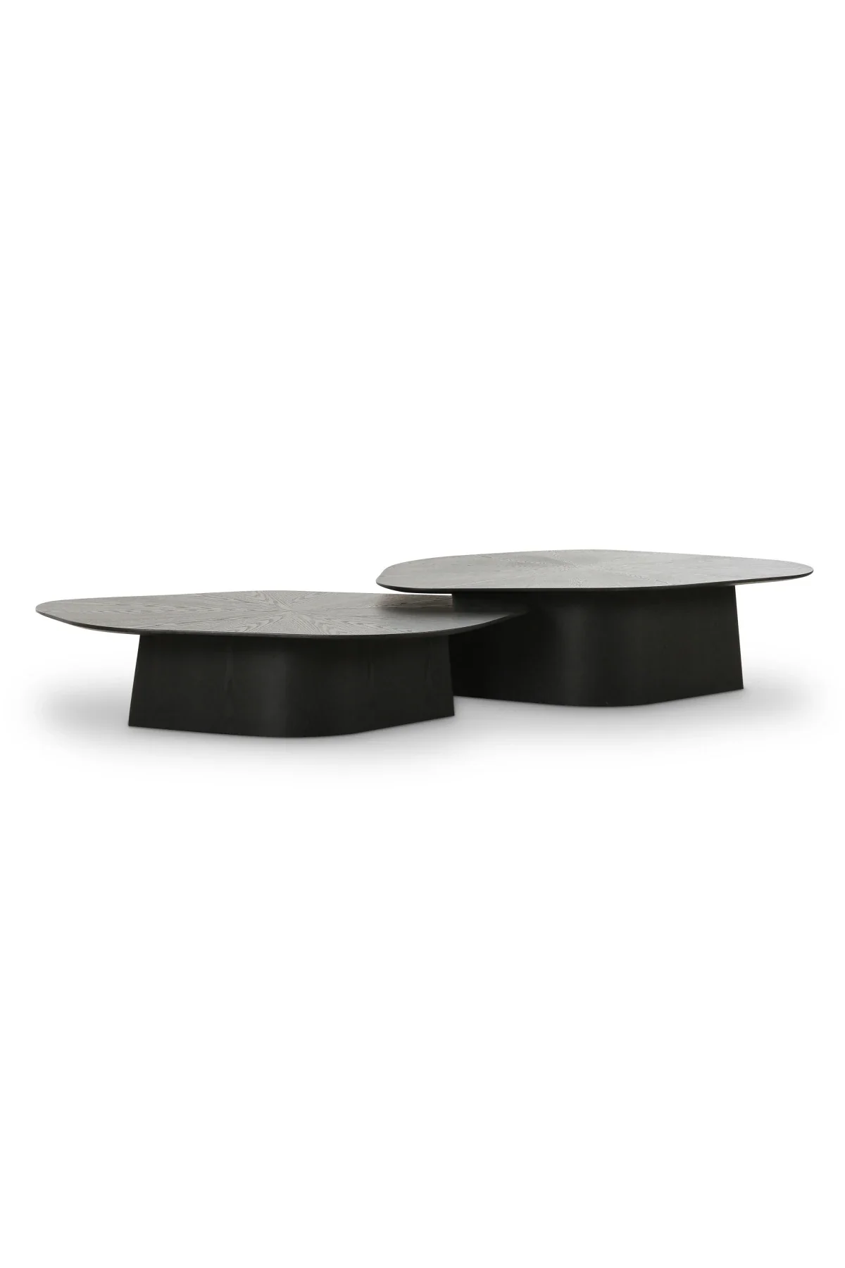 Roche Nesting Coffee Table Set - Image 2