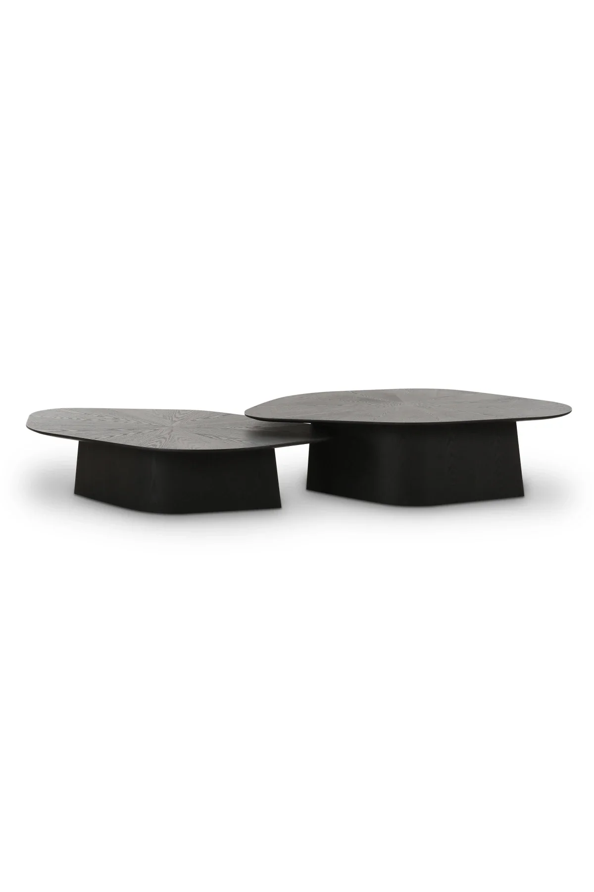 Roche Nesting Coffee Table Set - Image 4