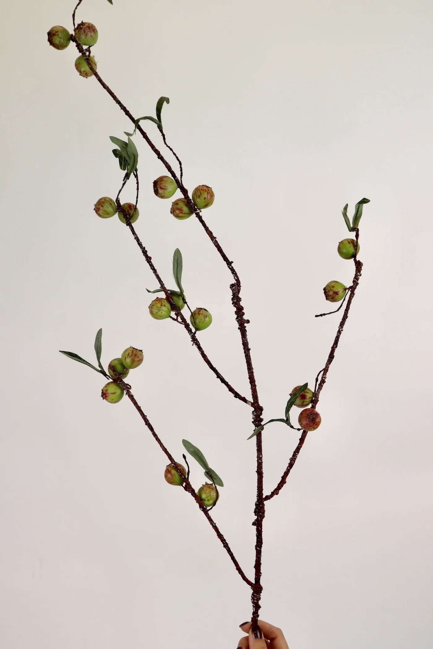 Rosehip Stem - 48”