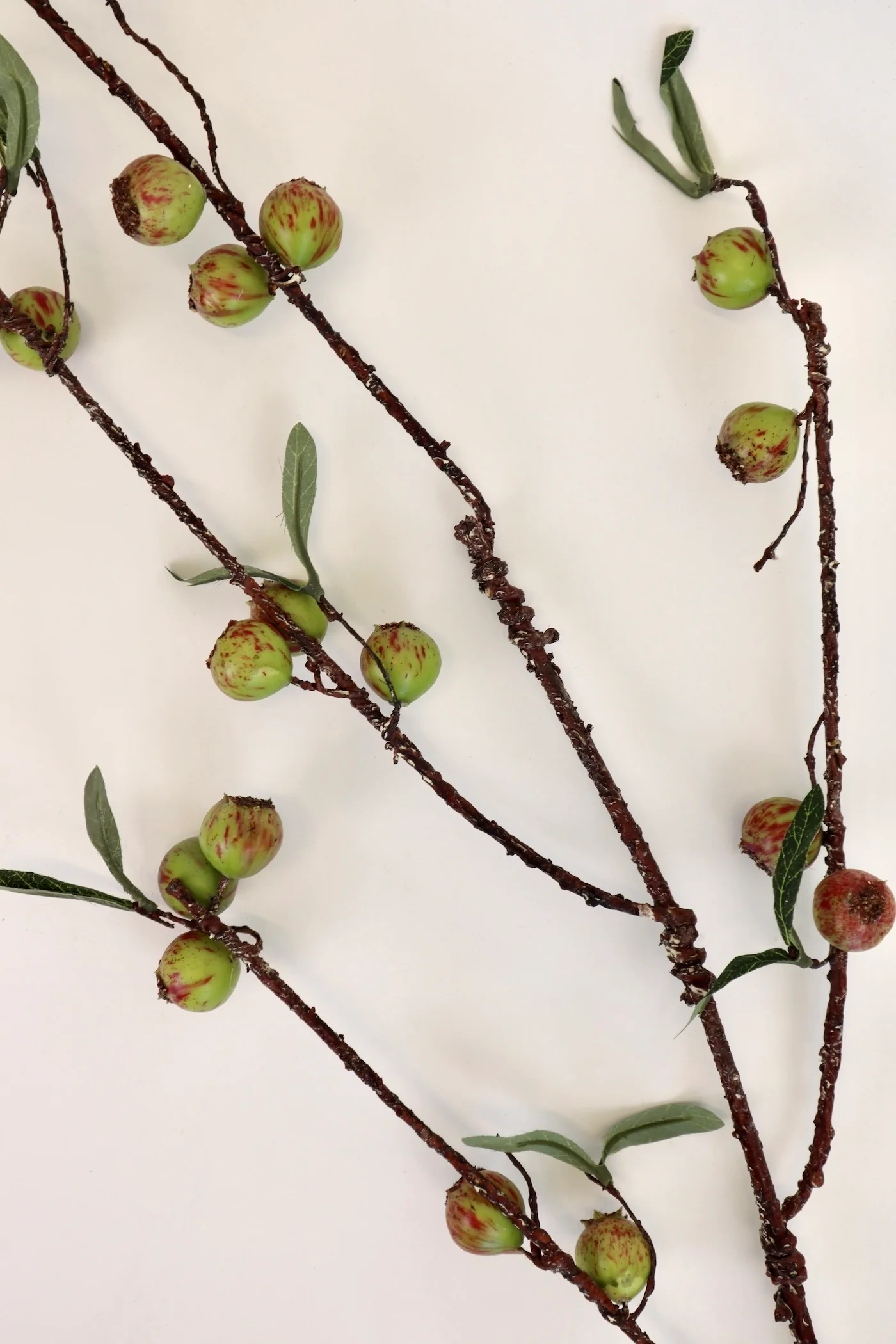 Rosehip Stem - 48” - Image 2