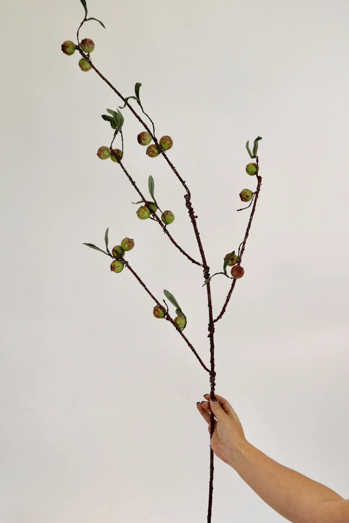 Rosehip Stem - 48” - Image 3