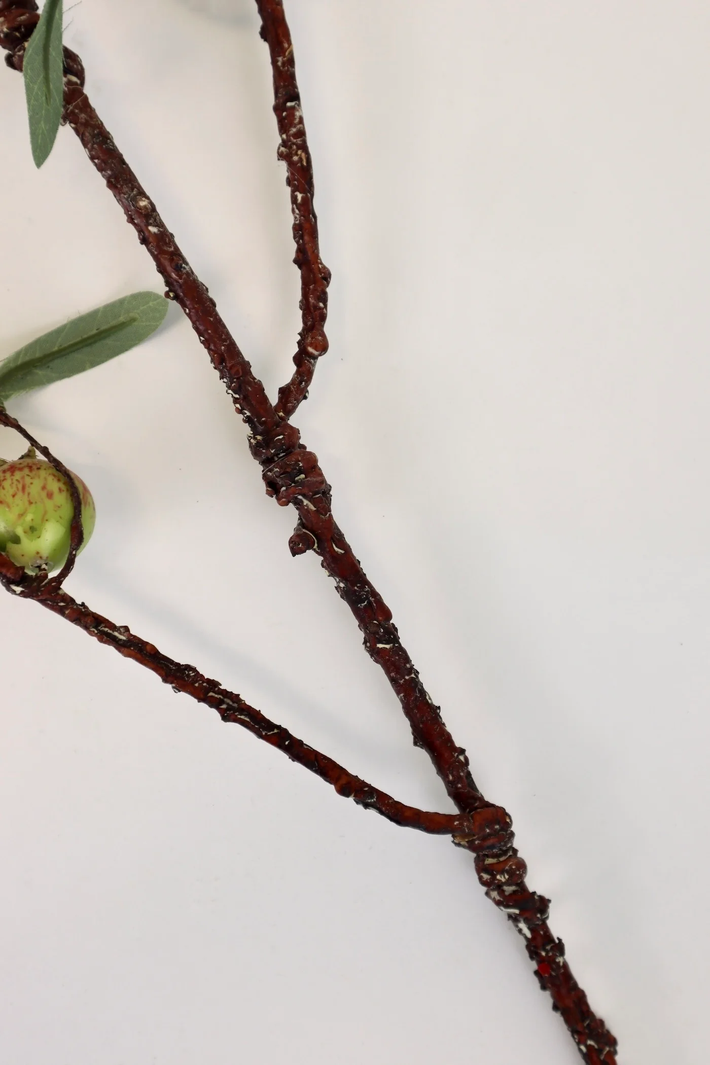 Rosehip Stem - 48” - Image 4