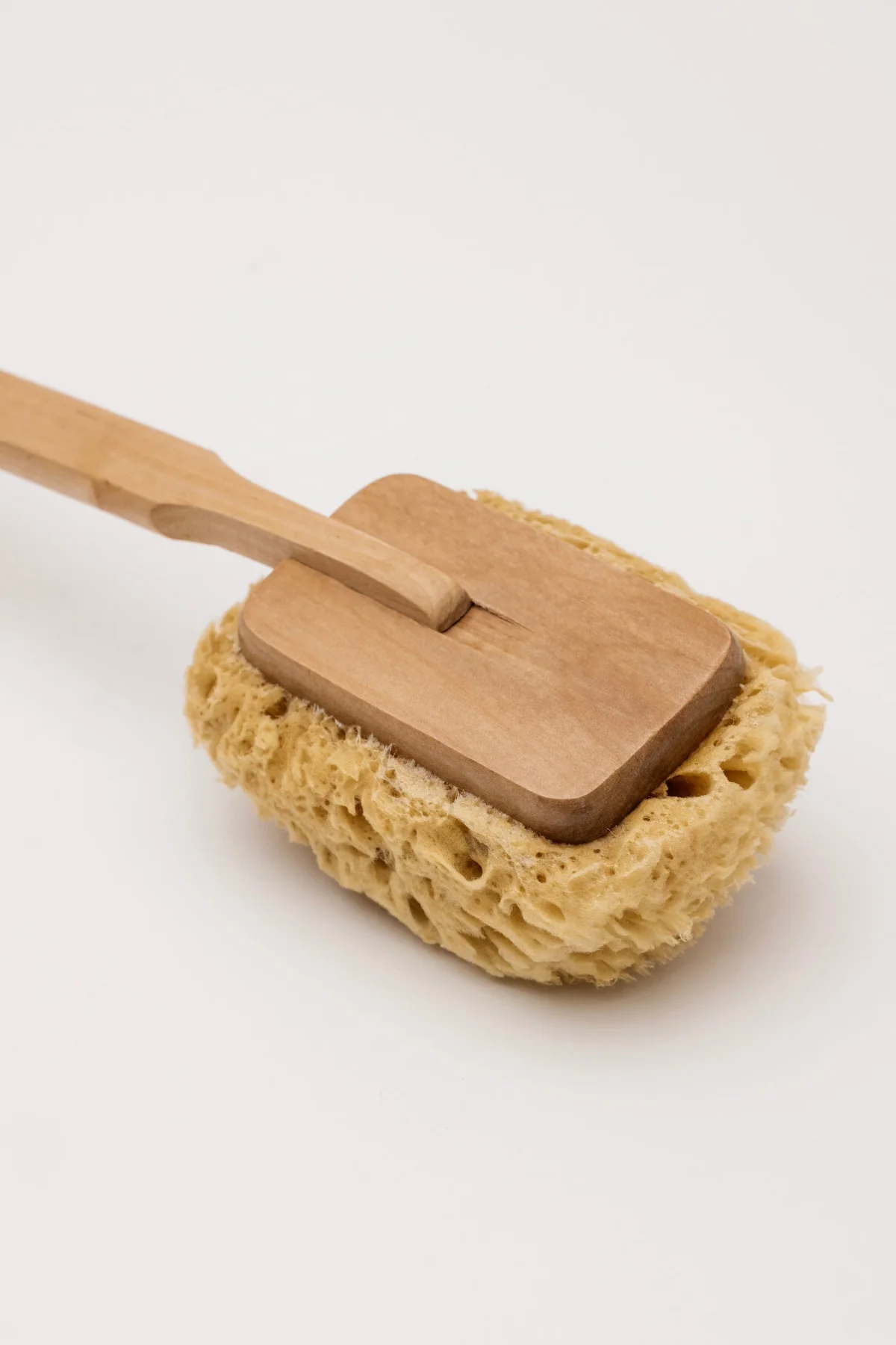 Solace Sea Sponge Brush - Image 5
