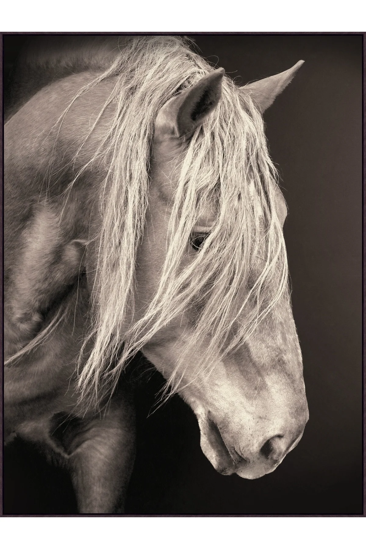 Steel Stallion Wall Art
