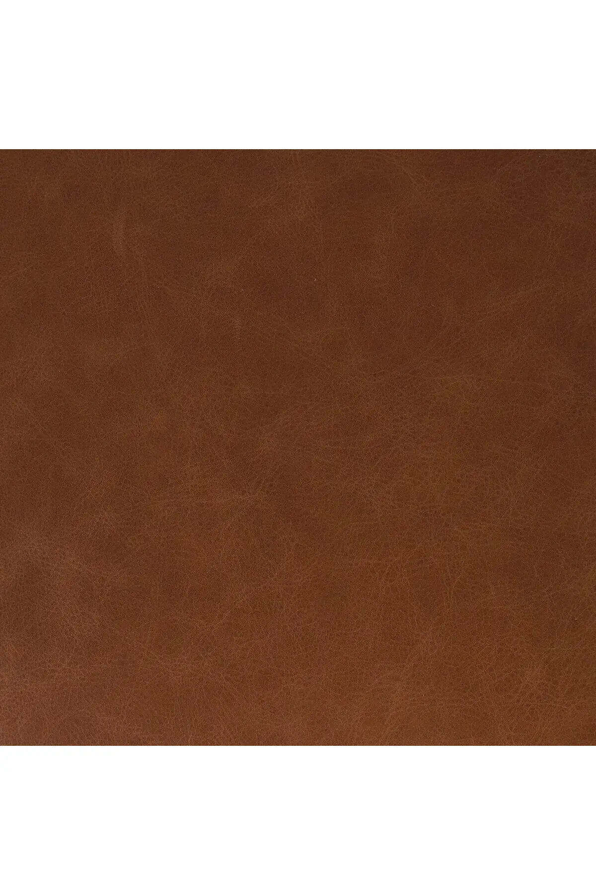 Tamari Bar + Counter Stool - Chestnut - Image 6