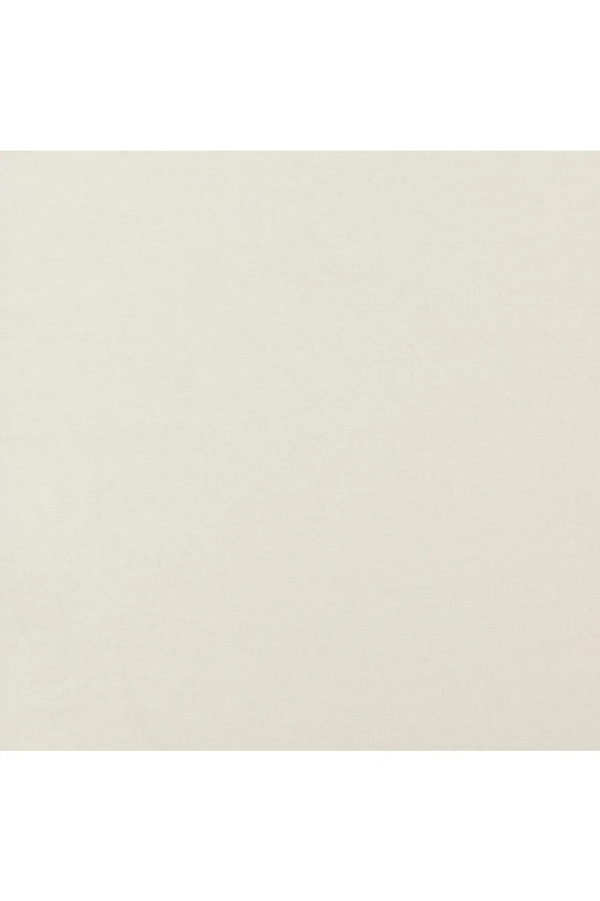 Tiara Dining Chair - Image 12