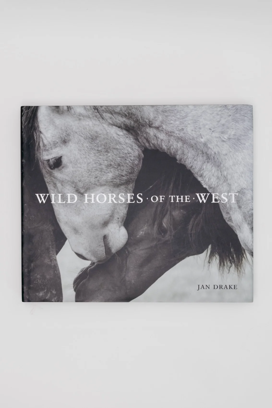 Wild Horses of the West