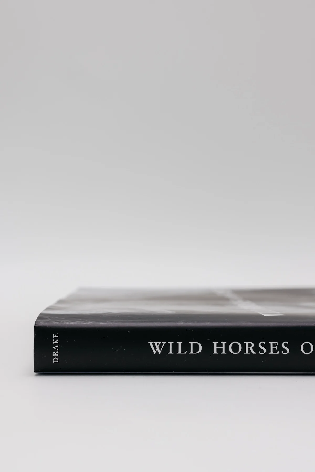 Wild Horses of the West - Image 3
